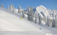 ski_3.jpg